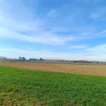 Ptit Ranch 